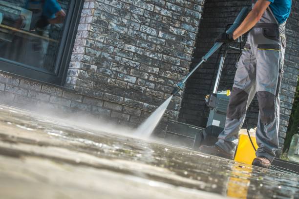 Best Fleet Vehicle Washing  in Ben Lomond, CA