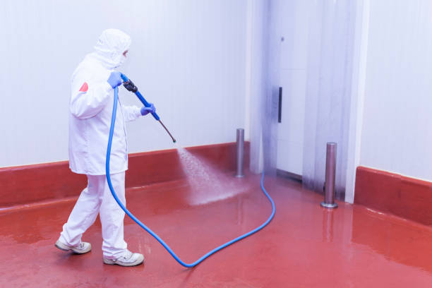 Best Paint Preparation  in Ben Lomond, CA